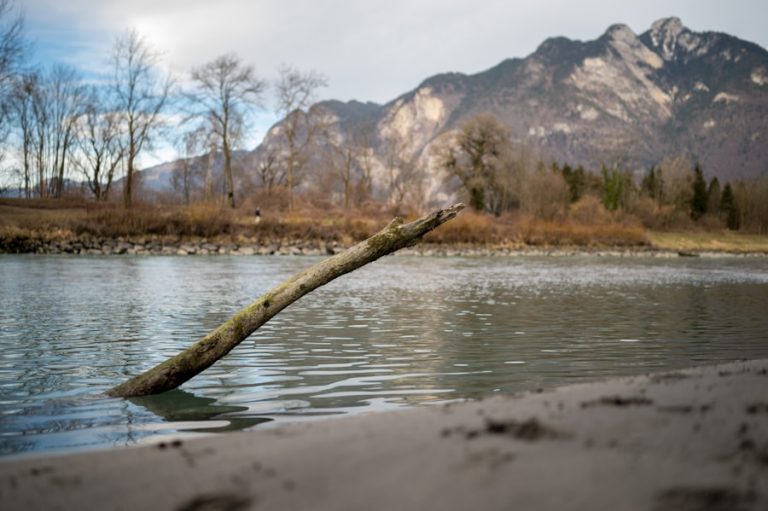 Photo "What are the Dunajec rafting routes and how do they differ?"